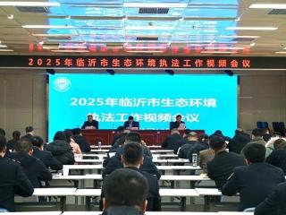 临沂市召开2025年全市生态环境执法工作视频会议