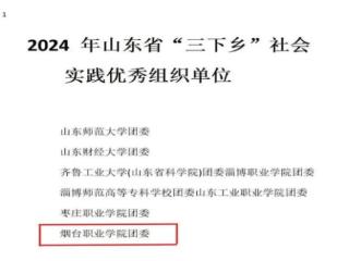 烟台职业学院“三下乡”社会实践获5类31项省级荣誉