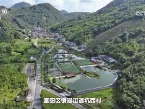 央视报道！杭州这座山上的农家土味火出圈