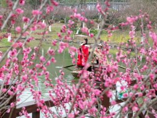 梅花争艳迎客来，鸟语花香春意浓