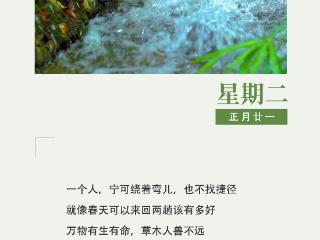 作家日签 | 莫非：万物有生有命，草木人兽不远