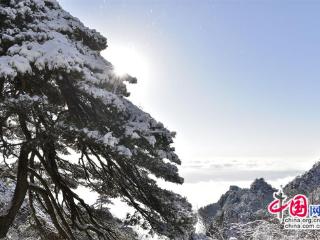 只有一个黄山：雨水节气，雪后日出美轮美奂