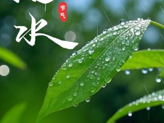 今日，雨水！春天即将全面到来