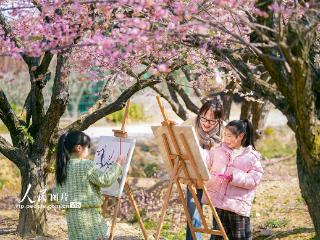 浙江长兴：梅园写生