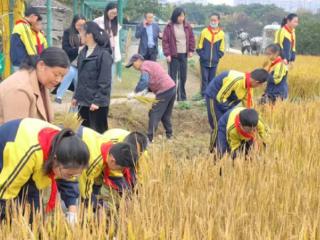 建湖这所学校劳动教育案例入选省基础教育优秀创新案例