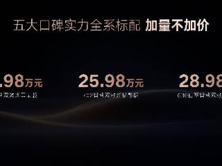 售价25.98-28.98万元/配天神之眼B和云辇智能底盘 2025款腾势N7上市