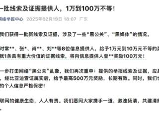 最高100万元！比亚迪对9位线索/证据提供人发放奖励