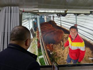 青年人才与黔贵大地的“双向奔赴”｜从青年奋斗故事看贵州发展机遇