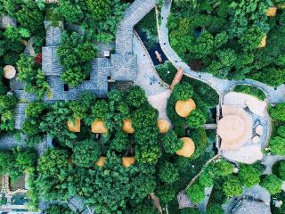 奔赴春天，3条经典线路带您领略“沂蒙好风光”