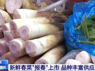 你知道“报春菜”吗？快来品尝“春天的味道”