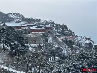 泰山再迎春雪 绘就诗意画卷