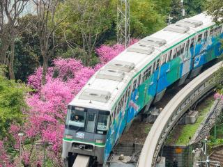 最是一年春好处！“开往春天的列车”再启航