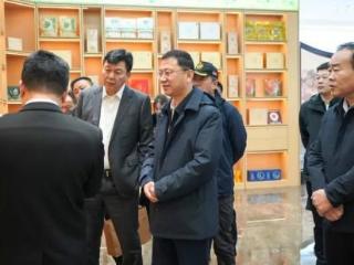 创新思维谋发展 跨界融合启新程——柳河县政企协同绘就人参产业高质量发展全景图