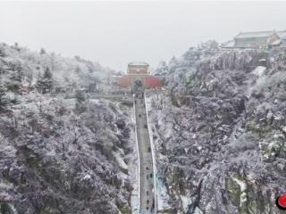 泰山雪花纷飞如絮 美景引游客驻足