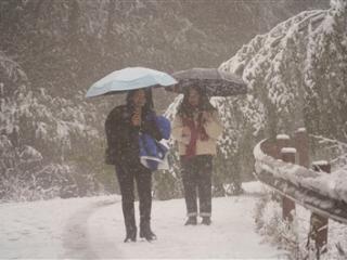 受雨雪天气影响 昨起杭州多个景区暂停开放 部分道路交通管制