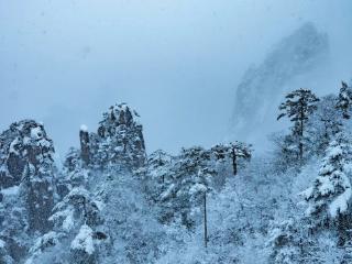 黄山风景区雪景迷人