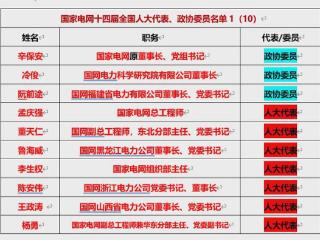 国家电网、南方电网2025年两会人大代表、政协委员名单