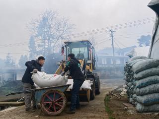 年产值逾600万：百里杜鹃菌包生产繁忙