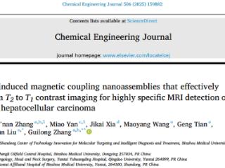 胜利油田中心医院在国际顶级期刊发表肝癌早期诊断突破性研究成果
