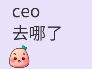 上海明星AI公司澜码科技裁员停薪！CEO被称李开复“关门弟子”