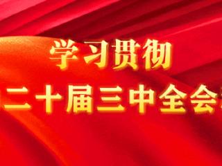 连播6天！锁定CCTV-10《岁月如歌》