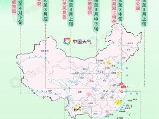 缤纷花事登场！2025全国早春赏花地图来了 一起解锁春日限定浪漫