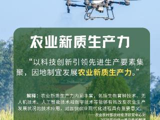 农业新质生产力、南繁硅谷……带你读懂中央一号文件中的这些热词