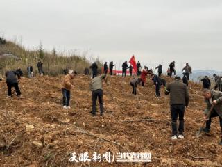 修文县阳明洞街道开展义务植树活动