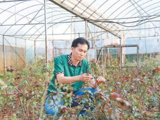 看，田间地头的“科技范儿”（国际人士看中国乡村全面振兴）