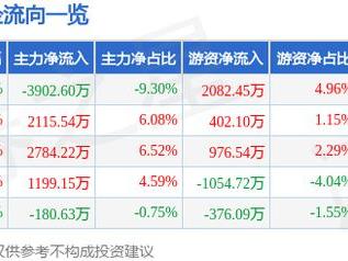 振华股份（603067）2月24日主力资金净卖出3902.60万元