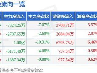 奇安信（688561）2月24日主力资金净卖出7324.25万元