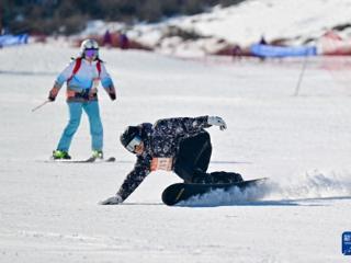 乌鲁木齐中小学生滑雪马拉松开赛