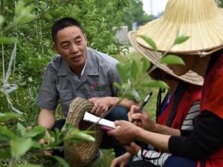 淄博：新型职业农民评审打造乡村振兴“生力军”