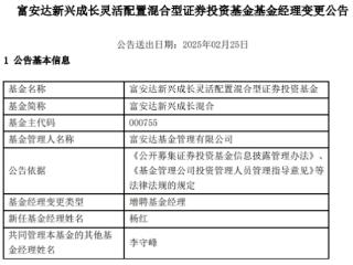 富安达新兴成长混合增聘杨红