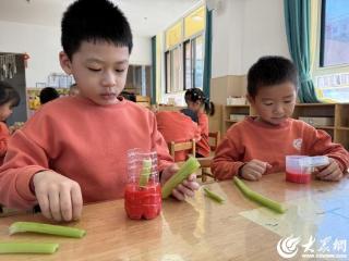 探秘蔬菜 走近科学——东营区文苑幼儿园开展蔬菜探秘活动