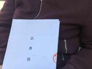 315案例|被忽悠？先“旅游”后“买牛” 中老年人交钱后血本无归