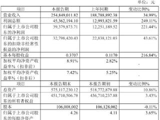 天马新材2024年预计净利3937.99万元同比增长221.44%电子陶瓷用粉体材料销售收入增长