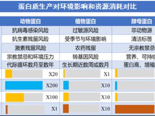 环境更友好的蛋白 你愿意为地球换一种“吃法”吗？