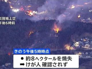 日本突发山林大火 超500人紧急避难