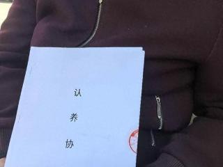 3·15专题 | 先“旅游”后“买牛”，68岁老人投入近20万元云养牛，结果竹篮打水一场空