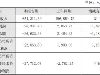 嘉元科技2024年转亏 2019年上市3募资共62.8亿元