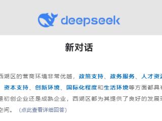 西湖区政府有多“懂”老板？创业者和Deepseek给出一致评价！