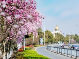 快来看，阳澄湖畔原来也藏着特色湿地乡村！