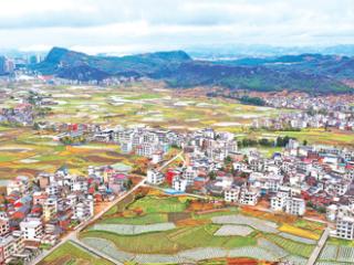 村里迎来新变化（乡村全面振兴好光景①）