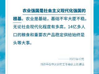 学习卡丨总书记谈“三农”，强调这些关键词