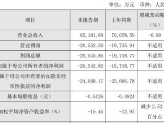 安路科技2024年增亏 2021年上市募13亿元