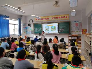 枣庄市市中区文化路小学：运用区域智慧教育 助推大单元教学改革