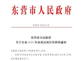 东营市2025年轮胎产业12个重点项目揭晓！