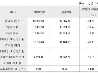 成都华微2024年业绩预告：归母净利润1.21亿元，同比下降60.98%