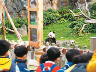 香港发布新书《“竹”梦香港——大熊猫与香港的故事》